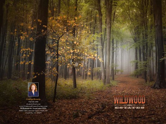Wildwood Estates Brochure Cover